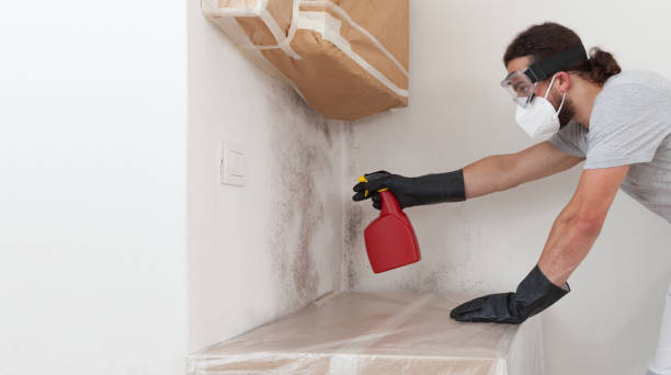 Professional Crawl Space Mold Removal technician working in Irving, TX