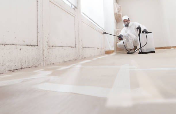 24/7 Emergency Crawl Space Mold Removal experts in Irving, TX